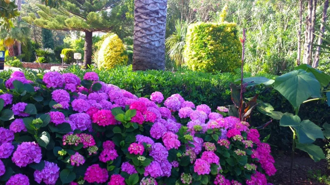 Arenosu Comfort Country Resort Fertilia