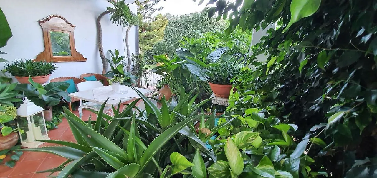Arenosu Comfort Country Resort Fertilia