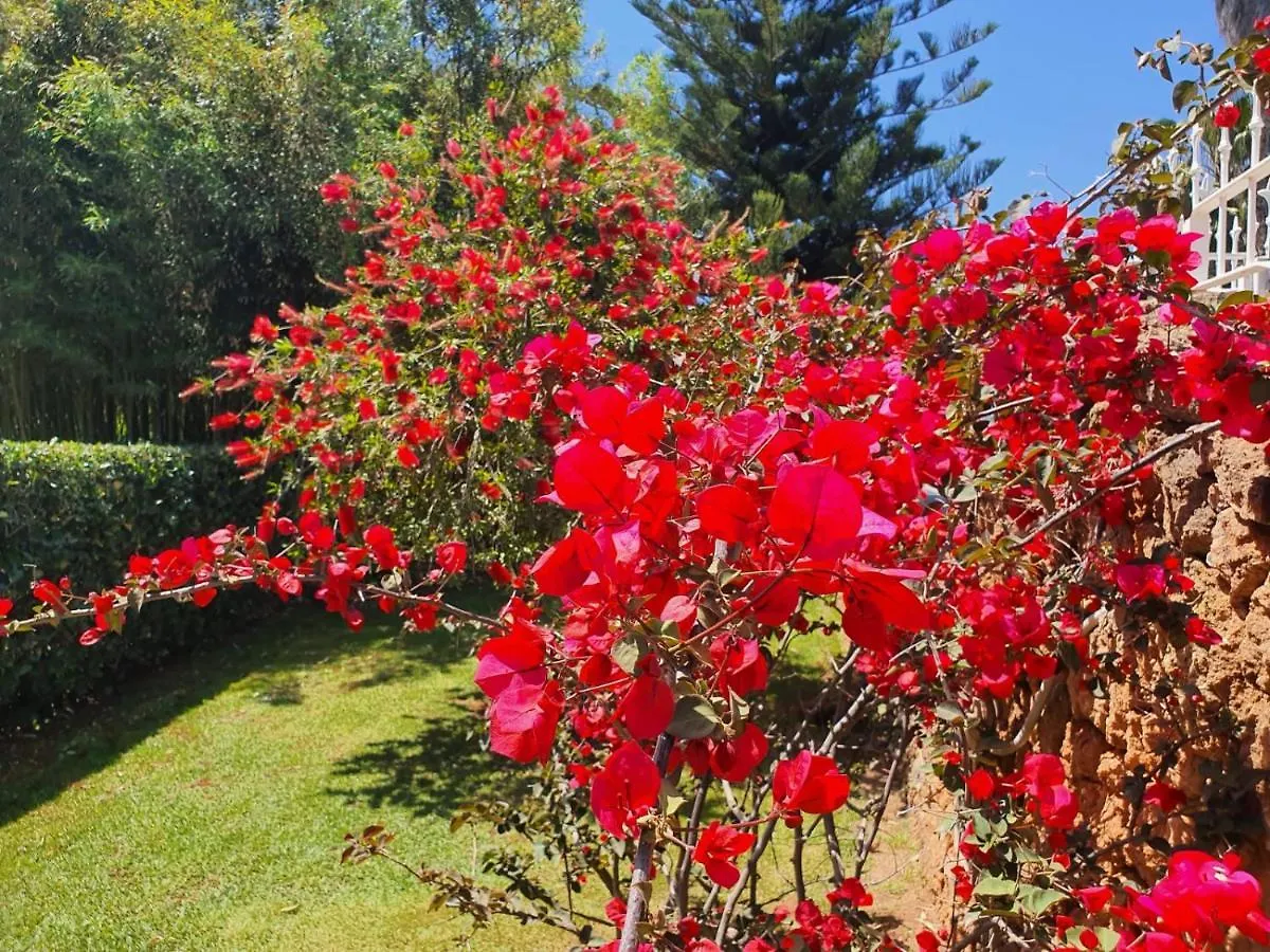** Pensionat Arenosu Comfort Country Resort Fertilia Italien