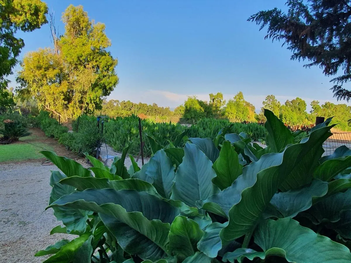 Arenosu Comfort Country Resort Fertilia Guest house