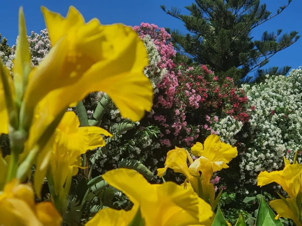 Guest house Arenosu Comfort Country Resort Fertilia